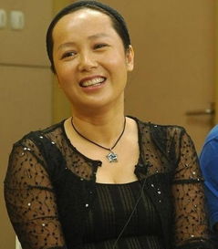 黄轩和蒋雯丽怎么了 就是传了一点绯闻