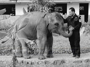 ���ܳ��˵���ʵ���� �ǳ���Ѫ��Ҳ�ǳ����޹�