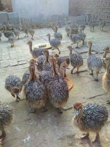 ��������·���� ��������·����ô��