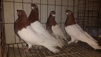 ��������·���� ��������·����ô��