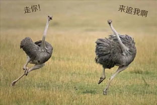 ��������·���� ��������·����ô��