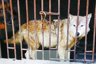 �������������Ѽ����� �Ǹ����Ͳ��˵�����