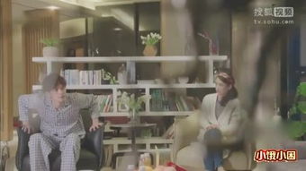 �������������Ѽ����� �Ǹ����Ͳ��˵�����