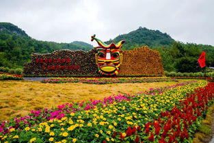 百里杜鹃几月份去好 花期最盛的时候