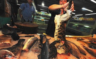 眼镜王蛇是几级保护动物 列入了二级保护动物的行列