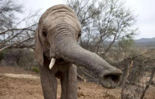 ��������й�ͷ�� �ȫ���������ٿص�û�й�ͷ