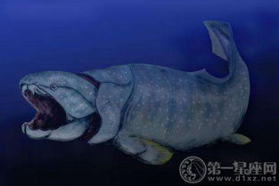 ʮ������Ŀ��¹����� ˫ǻ����������������Ķ�����