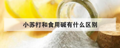 小苏打和食用碱有什么区别 发面时用碱还是小苏打