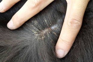 ����ϴͷʭ���ѻ����� ����ϴͷʭ���ѻ�����