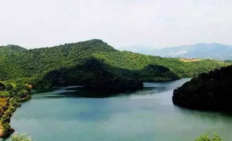 ���������ǲ��Ǻ��� ƶ�����ܴ�