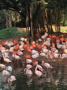 ɽ����ô�� ɽ��Ҳ�й�����