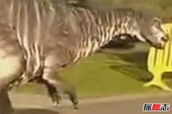 ����û����˻�������� ������δ���