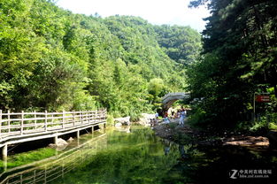 �Ͼ�ɽ�羰�������� �����ں��ϵ��������ﴨ��