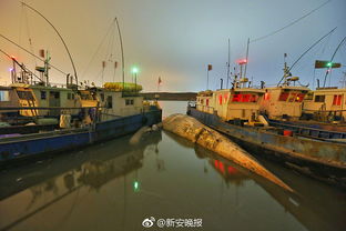 һͷ�����ض��ٶ� ��ͬ����ľ���������ͬ