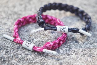 Сʨ����������Ǯ һ���ļ۸�һ����100Ԫ����