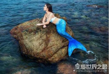 美人鱼是什么动物 美人鱼生物原型是儒艮