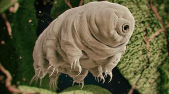 ˮ�ܳ��������� �ܲ���һ��ɱ��