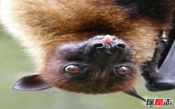 �ȴ�������ʲô�����Ķ��� �ȴ�������ʲô����