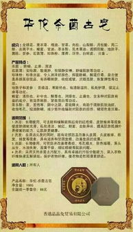 ��٢������������ ��٢�������ĸ���˾������