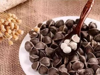 ��ľ����ʲô ����ľ��������