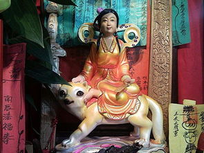 �ɼҳ���Ϊʲô���� ����֮ǰ��ʲô����