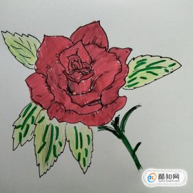 ��ʻ�õ�廨��ô�� õ�廨��ô��Ư���ּ�