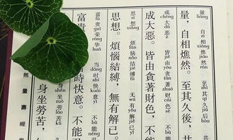 净土五经一论都是什么 为净土宗之核心经典