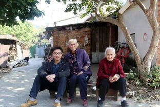 ����ȫ���ж����� �����𽥼����˽�ʣ3��