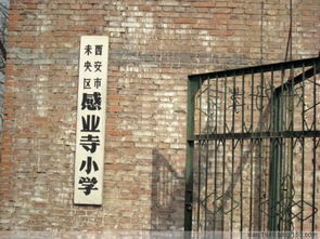 ����������δ���ѽ ������ȴ���Ų��׵�����