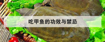 �Լ���Ĺ�Ч����� ʲô�˲��ܳԼ���Ľ���