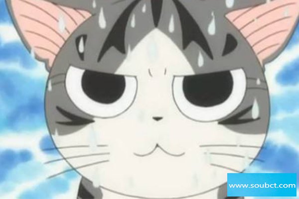 汗颜是什么意思 因羞愧自责而流汗到颜面上