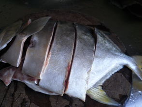 ��������ô���� ��ͷ�ǿ��Բ���ȥ����