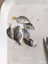 ��������ô���� ��ͷ�ǿ��Բ���ȥ����