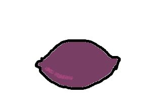 蟑螂卵是什么样子的 藏在蟑螂卵鞘里是白色的