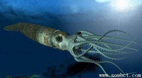 ��ǹ�����ж�� ��������������������