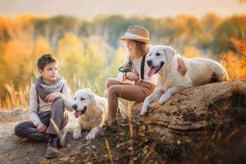 pet是什么意思 意思和用法非常多样