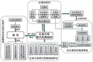 孔雀石绿多久后见效 治水霉一般在2—4天见效