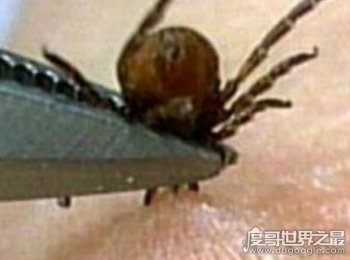 ��涣ҧ���˿�ͼƬ ���ž��������������˵�����