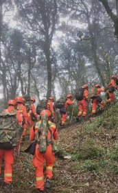 ����ɽʧ�������� �����ϰ���ɽʧ����9��