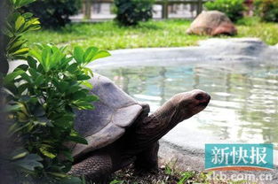 �Ǵﲮ�������ô�� �����Ը��������߲�Ϊ��