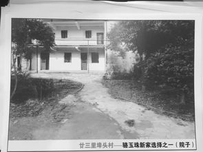 ������ʵ�½��ӻ����� ֻ��һ����ʱ�����˵�һ����Ӱ