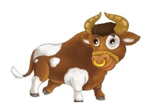 85����ţ�������36�� 1985����ţŮ�Ĺ�����˭