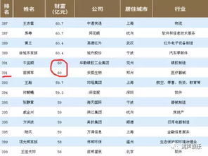 散打哥身价多少中国富豪榜 身家达到六十亿