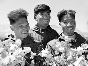 ����ɽԭ����˭ ԭ������Ϊ���