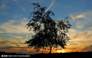 ��ϼ��ʲô ��ϼ��ʲô