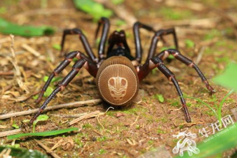 �����̸����ж��� �����̸������Ǯһֻ