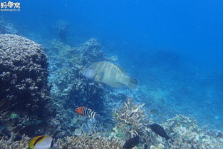 ����Ϊʲô����ȥ�� ���˵��Ļ��ɵڶ�������