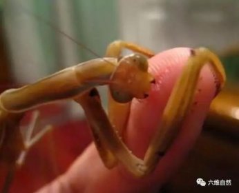 Ϊʲô���һմˮ���� ����������ڵ����߳�����