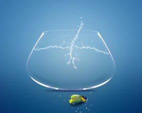 �����������ʲô���� ��������������ʲôԢ���Լ���ô��