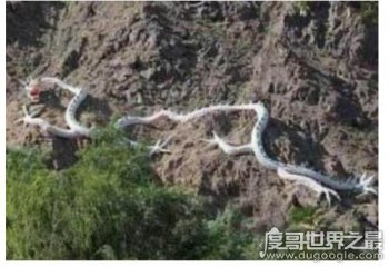 山东真实的蛇化龙的事 各种各样的民间传说